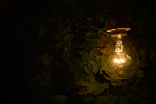 Close-up of a glowing bulb against a dark leafy background, creating a warm ambient glow.