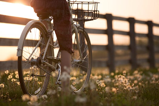 A person cycling past a scenic fence and flowers during sunset, capturing tranquility and freedom.