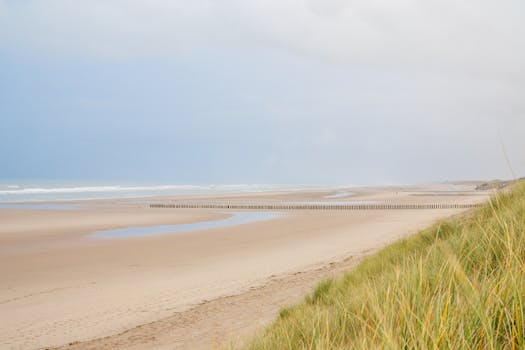 Tranquil beach scene at Somme Bay, France with expansive sandy shores and ocean view.